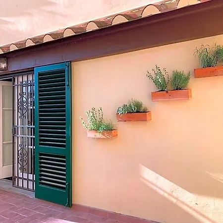 La Terrazza Di Via Elisa Couette-café Lucques